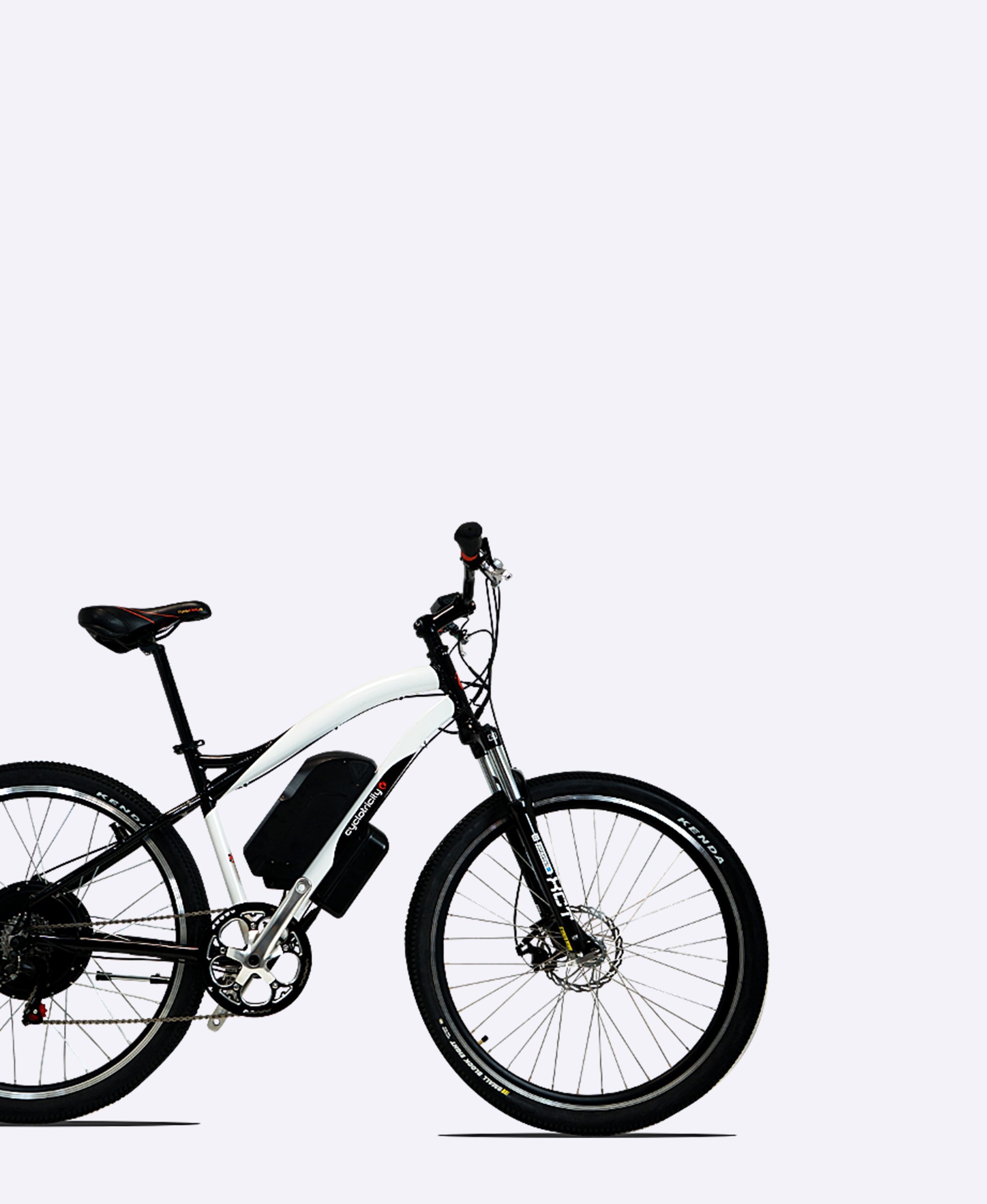 Stealth 1000W 29er Mountain Bike