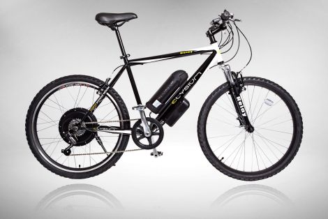 Cyclotricity Stealth 500W 29er mountain ebike