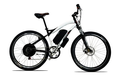 Cyclotricity Stealth 500W 29er mountain ebike